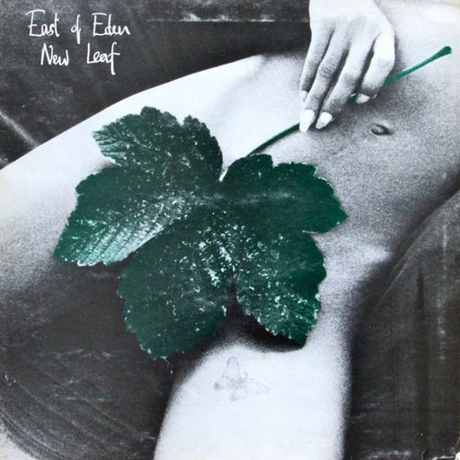 East Of Eden – New Leaf (LP, Vinyl Record Album)