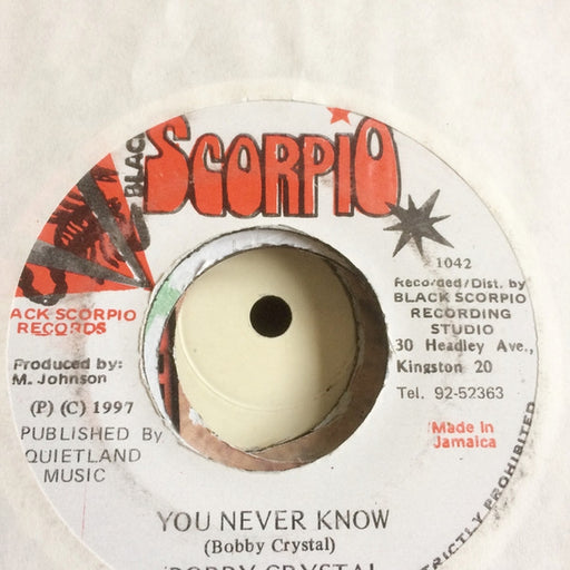 Bobby Crystal – You Never Know (LP, Vinyl Record Album)