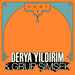 Derya Yıldırım, Grup Şimşek – Dost 2 (LP, Vinyl Record Album)