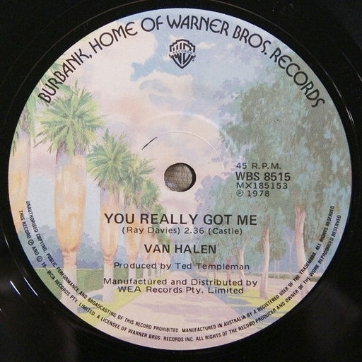 Van Halen – You Really Got Me (LP, Vinyl Record Album)