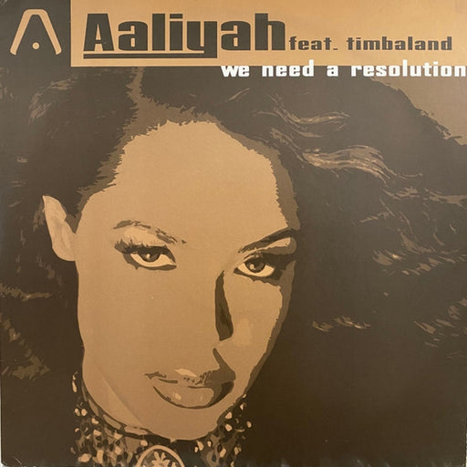 Aaliyah – We Need A Resolution (LP, Vinyl Record Album)