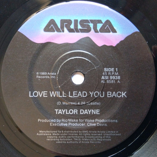 Taylor Dayne – Love Will Lead You Back (LP, Vinyl Record Album)