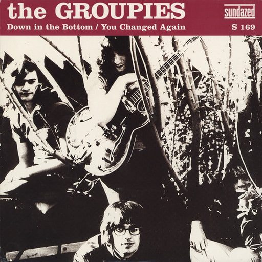 The Groupies – Down In The Bottom / You Changed Again (LP, Vinyl Record Album)