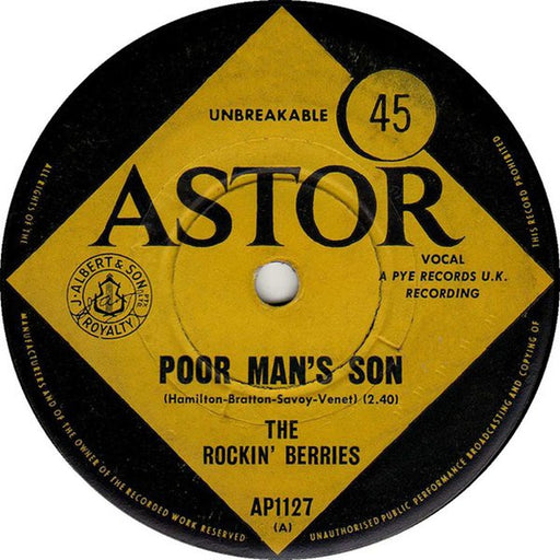 The Rockin' Berries – Poor Man's Son (LP, Vinyl Record Album)