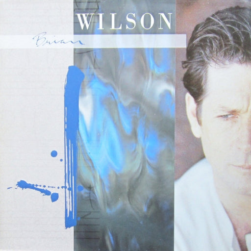 Brian Wilson – Brian Wilson (LP, Vinyl Record Album)