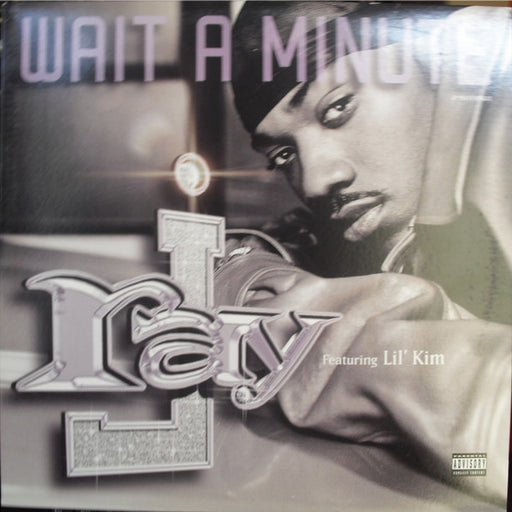 Ray J, Lil' Kim – Wait A Minute (LP, Vinyl Record Album)