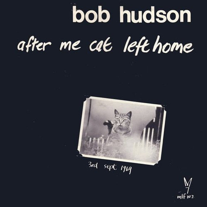 Bob Hudson – After Me Cat Left Home (LP, Vinyl Record Album)
