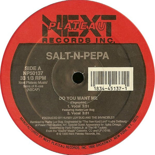 Salt 'N' Pepa – Do You Want Me (LP, Vinyl Record Album)