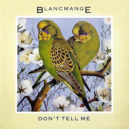 Blancmange – Don't Tell Me (LP, Vinyl Record Album)