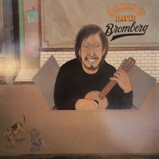David Bromberg – Out Of The Blues: The Best Of David Bromberg (LP, Vinyl Record Album)