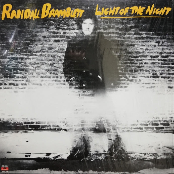 Randall Bramblett – Light Of The Night (LP, Vinyl Record Album)
