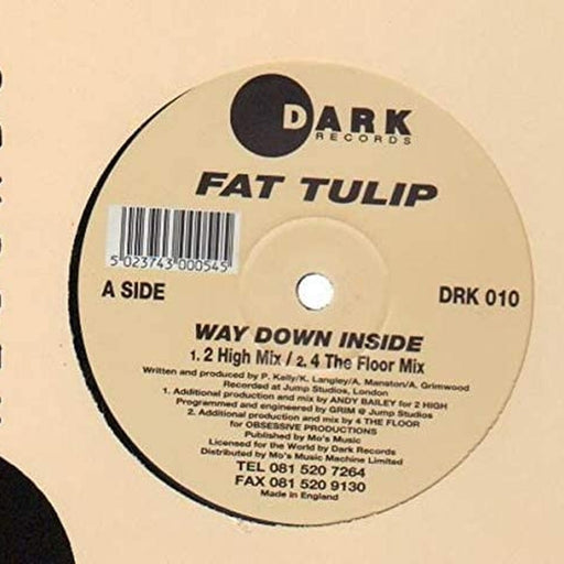 Fat Tulip – Way Down Inside (LP, Vinyl Record Album)