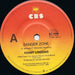 Kenny Loggins – Danger Zone (LP, Vinyl Record Album)
