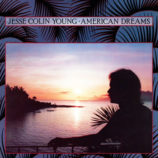 Jesse Colin Young – American Dreams (LP, Vinyl Record Album)
