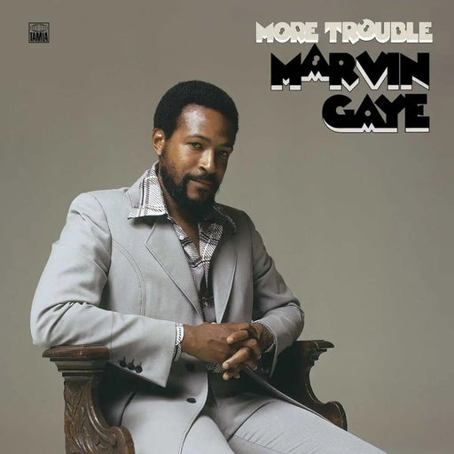 Marvin Gaye – More Trouble (LP, Vinyl Record Album)