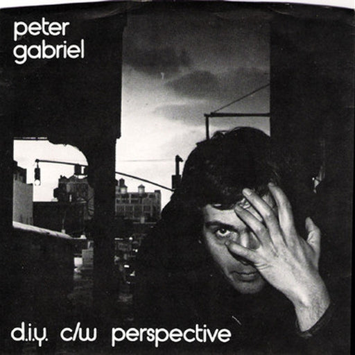 Peter Gabriel – D.I.Y. (LP, Vinyl Record Album)